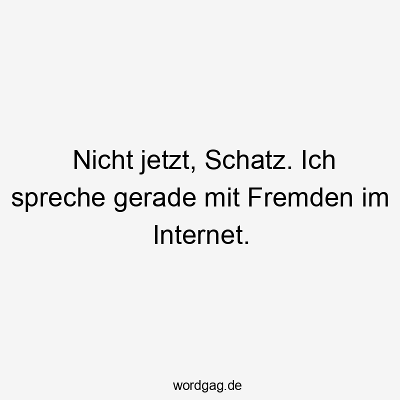Lustige Sprüche: sprechen - Nicht jetzt, Schatz. Ich spreche gerade mit Fremden im Internet.