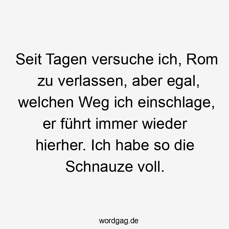Lustige Schnauze voll Sprüche - Seit Tagen versuche ich, Rom zu verlassen, aber egal, welchen Weg ich einschlage, er führt immer wieder hierher. Ich habe so die Schnauze voll.