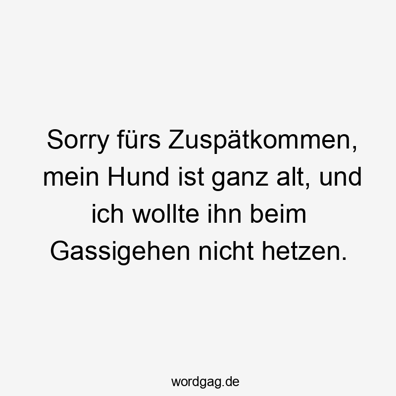 Sorry fürs Zuspätkommen, mein Hund ist ganz alt, und ich wollte ihn beim Gassigehen nicht hetzen.