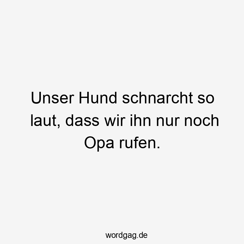 22 Lustige rufen Sprüche - Unser Hund schnarcht so laut, dass wir ihn nur noch Opa rufen.