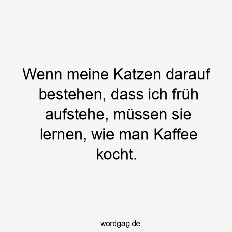 Wenn meine Katzen darauf bestehen, dass ich früh aufstehe, müssen sie lernen, wie man Kaffee kocht.