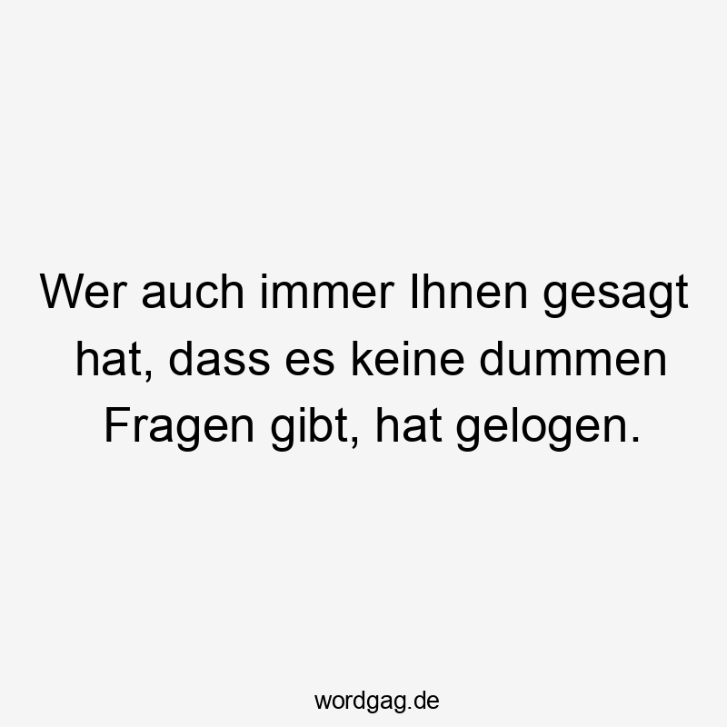 Lustige Sprüche: Fragen - Wer auch immer Ihnen gesagt hat, dass es keine dummen Fragen gibt, hat gelogen.