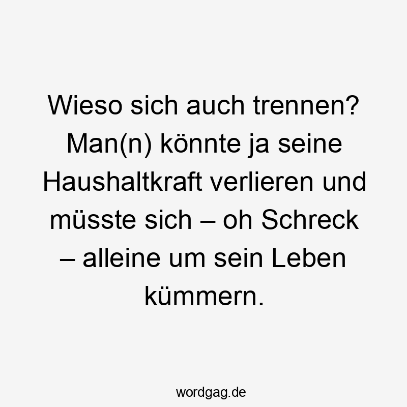 Lustige Sprüche: Ja - Wieso sich auch trennen? Man(n) könnte ja seine Haushaltkraft verlieren und müsste sich – oh Schreck – alleine um sein Leben kümmern.