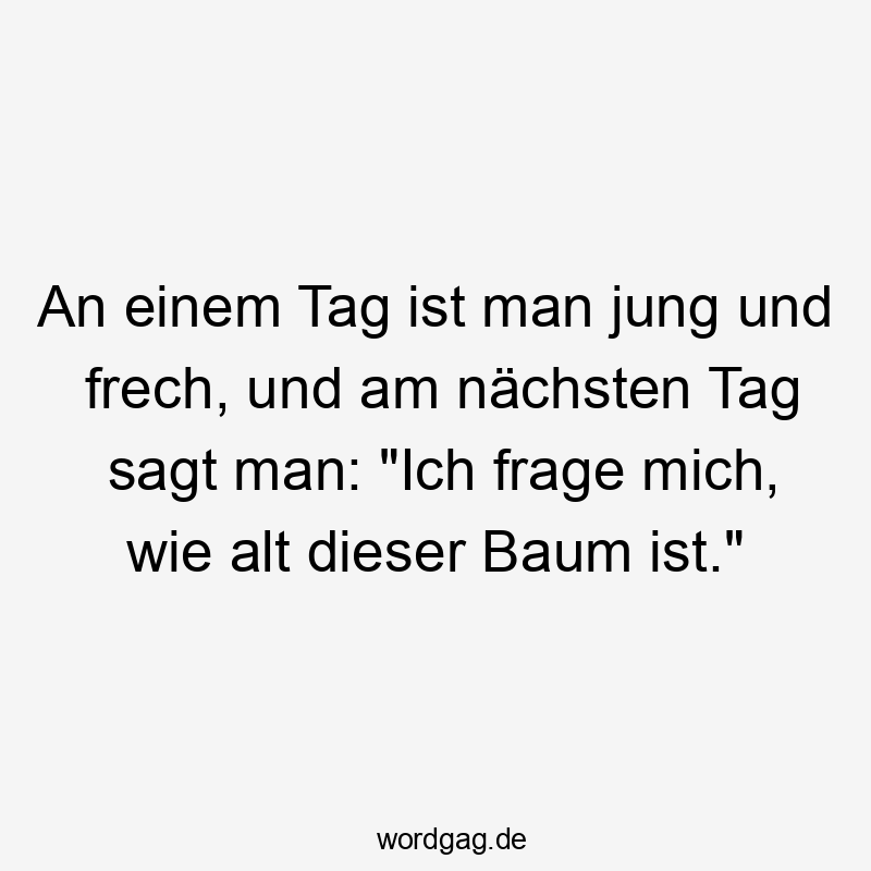 An einem Tag ist man jung und frech, und am nächsten Tag sagt man: „Ich frage mich, wie alt dieser Baum ist.“
