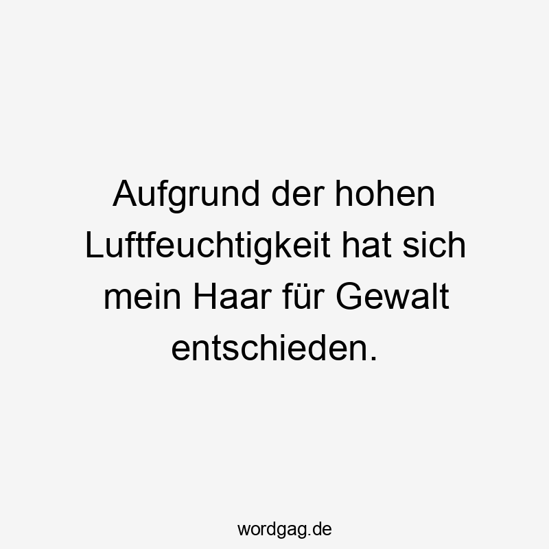 Lustige sich Sprüche - Aufgrund der hohen Luftfeuchtigkeit hat sich mein Haar für Gewalt entschieden.