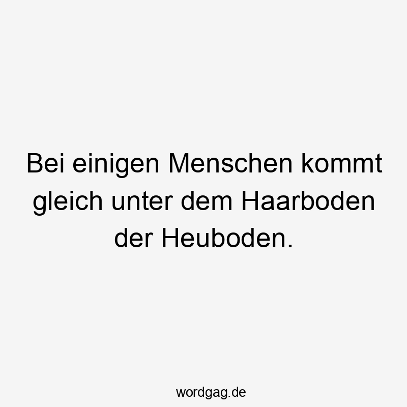 Lustige Sprüche: Gleich - Bei einigen Menschen kommt gleich unter dem Haarboden der Heuboden.
