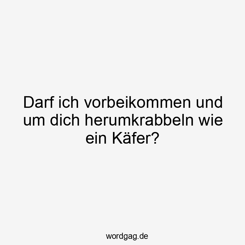 Lustige Käfer Sprüche - Darf ich vorbeikommen und um dich herumkrabbeln wie ein Käfer?