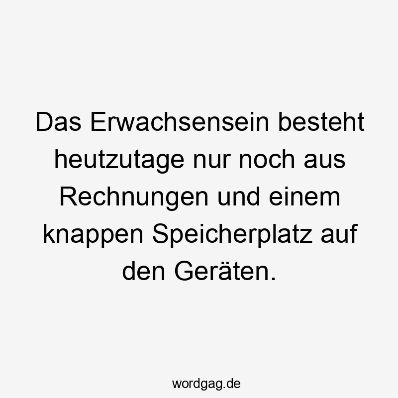 Lustige Sprüche: Erwachsensein - Das Erwachsensein besteht heutzutage nur noch aus Rechnungen und einem knappen Speicherplatz auf den Geräten.