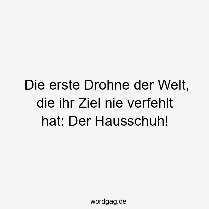 Lustige Sprüche: Welt - Die erste Drohne der Welt, die ihr Ziel nie verfehlt hat: Der Hausschuh!
