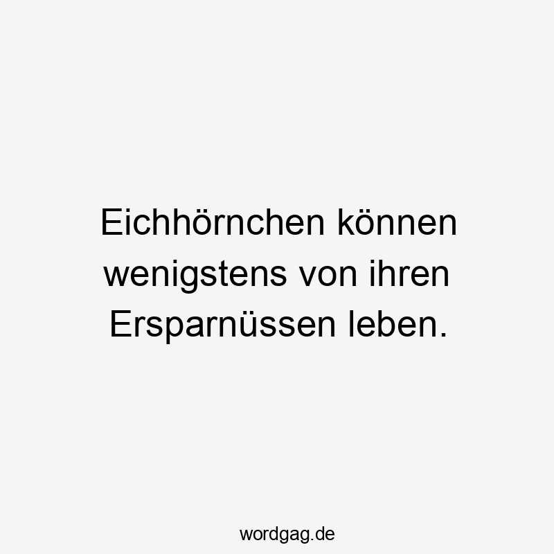 Eichhörnchen können wenigstens von ihren Ersparnüssen leben.