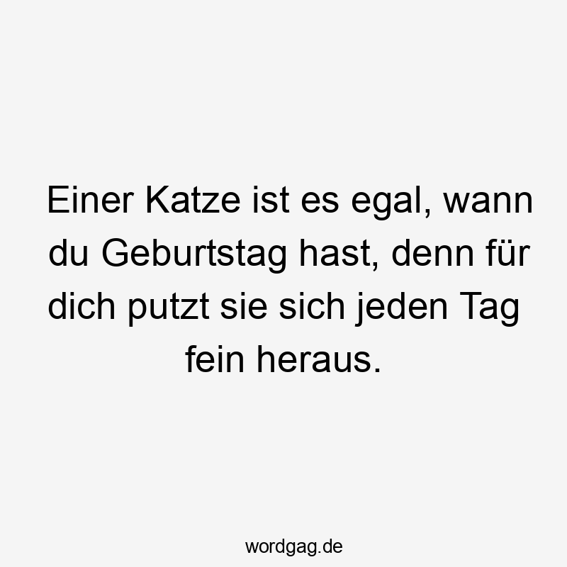 Einer Katze ist es egal, wann du Geburtstag hast, denn für dich putzt sie sich jeden Tag fein heraus.