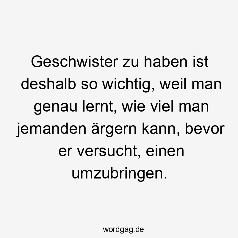 Lustige Sprüche: Streit - Geschwister zu haben ist deshalb so wichtig, weil man genau lernt, wie viel man jemanden ärgern kann, bevor er versucht, einen umzubringen.