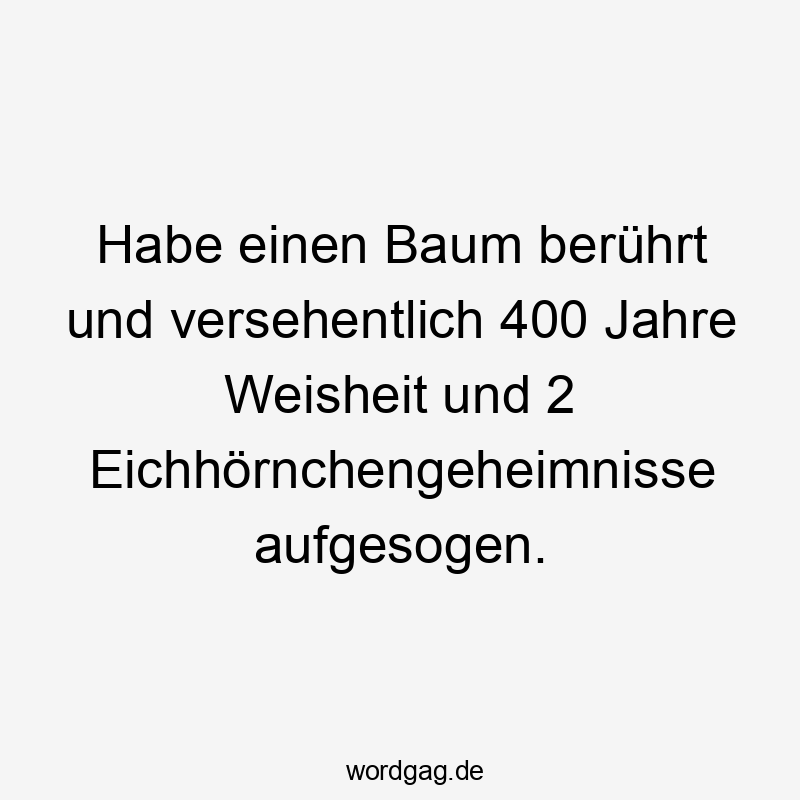 Habe einen Baum berührt und versehentlich 400 Jahre Weisheit und 2 Eichhörnchengeheimnisse aufgesogen.