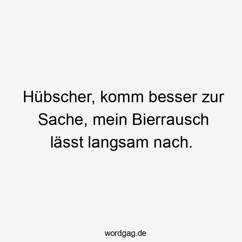 Hübscher, komm besser zur Sache, mein Bierrausch lässt langsam nach.