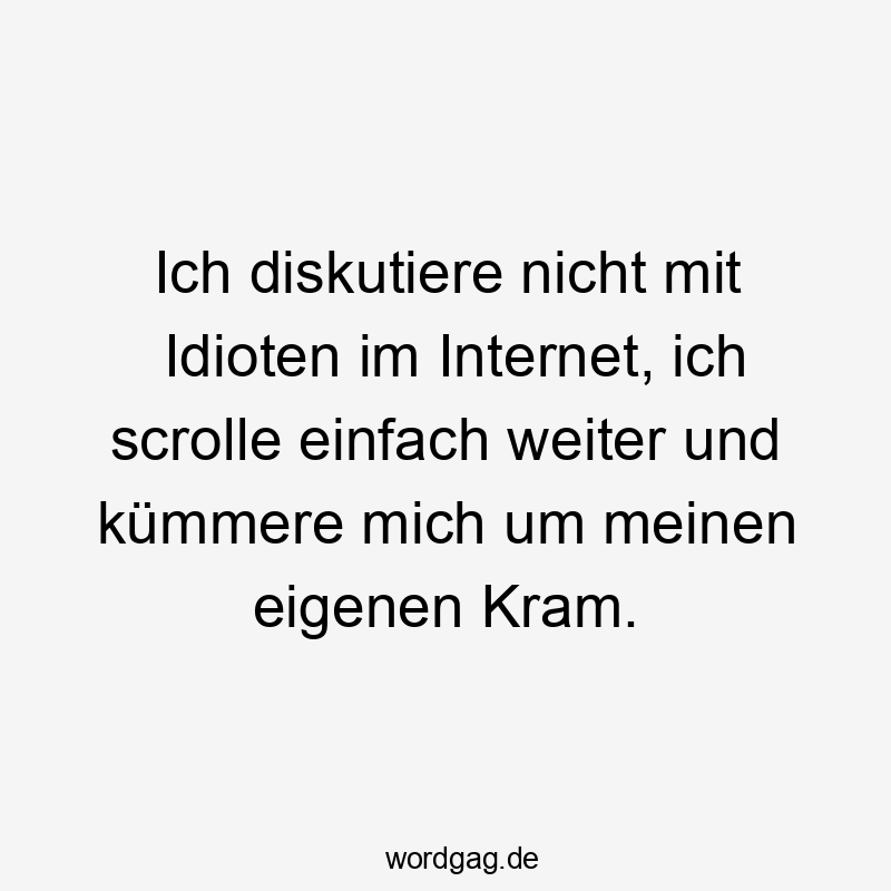 Lustige Internet Sprüche - Ich diskutiere nicht mit Idioten im Internet, ich scrolle einfach weiter und kümmere mich um meinen eigenen Kram.