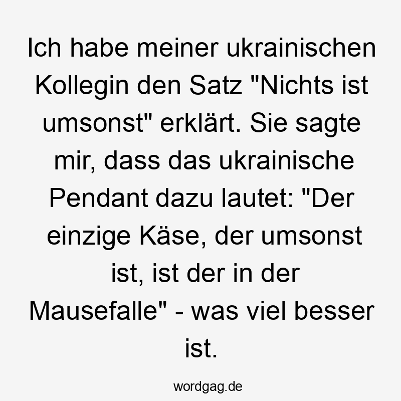 Lustige Kollegin Sprüche - Ich habe meiner ukrainischen Kollegin den Satz „Nichts ist umsonst“ erklärt. Sie sagte mir, dass das ukrainische Pendant dazu lautet: „Der einzige Käse, der umsonst ist, ist der in der Mausefalle“ – was viel besser ist.