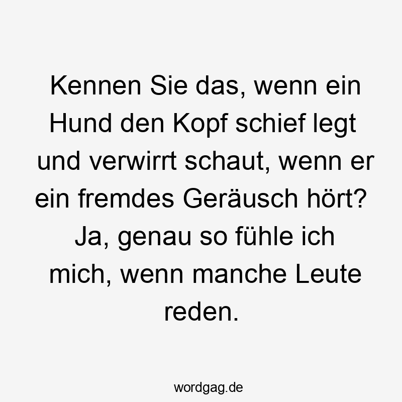 Kennen Sie das, wenn ein Hund den Kopf schief legt und verwirrt schaut, wenn er ein fremdes Geräusch hört? Ja, genau so fühle ich mich, wenn manche Leute reden.
