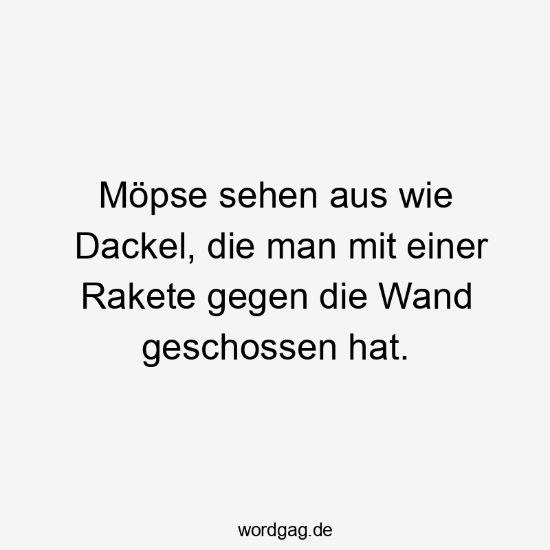 Möpse sehen aus wie Dackel, die man mit einer Rakete gegen die Wand geschossen hat.