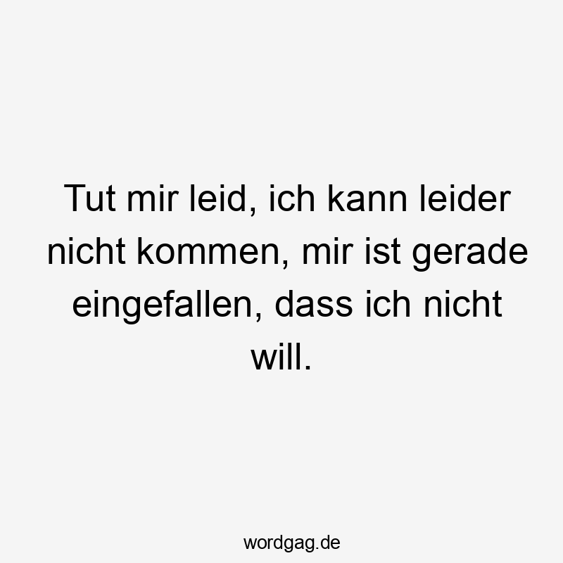 Tut mir leid, ich kann leider nicht kommen, mir ist gerade eingefallen, dass ich nicht will.