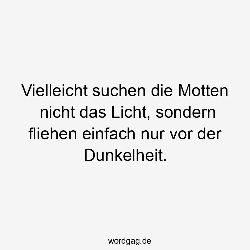Vielleicht suchen die Motten nicht das Licht, sondern fliehen einfach nur vor der Dunkelheit.