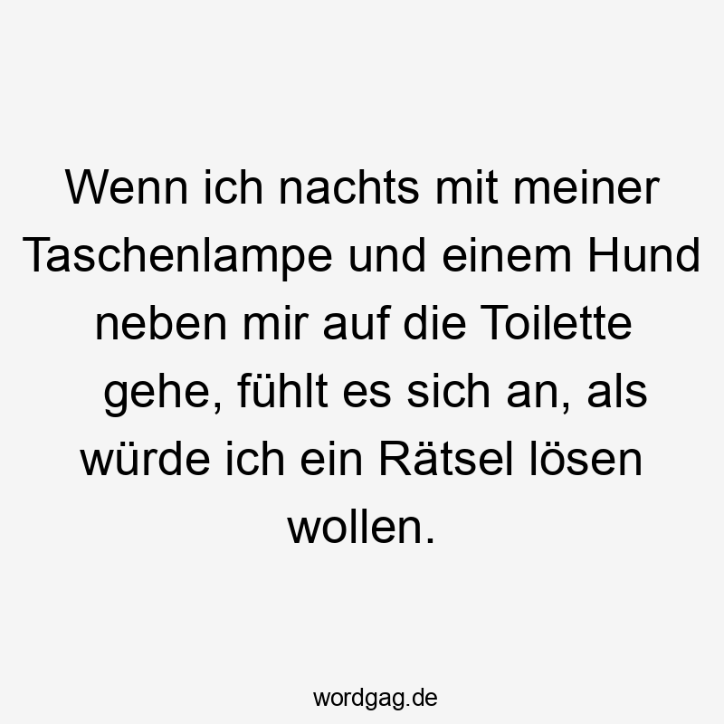 Lustige Sprüche: lösen - Wenn ich nachts mit meiner Taschenlampe und einem Hund neben mir auf die Toilette gehe, fühlt es sich an, als würde ich ein Rätsel lösen wollen.