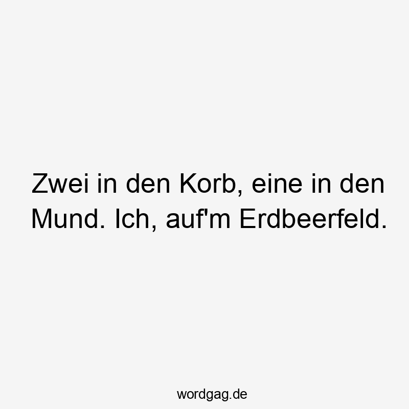 Zwei in den Korb, eine in den Mund. Ich, auf'm Erdbeerfeld.