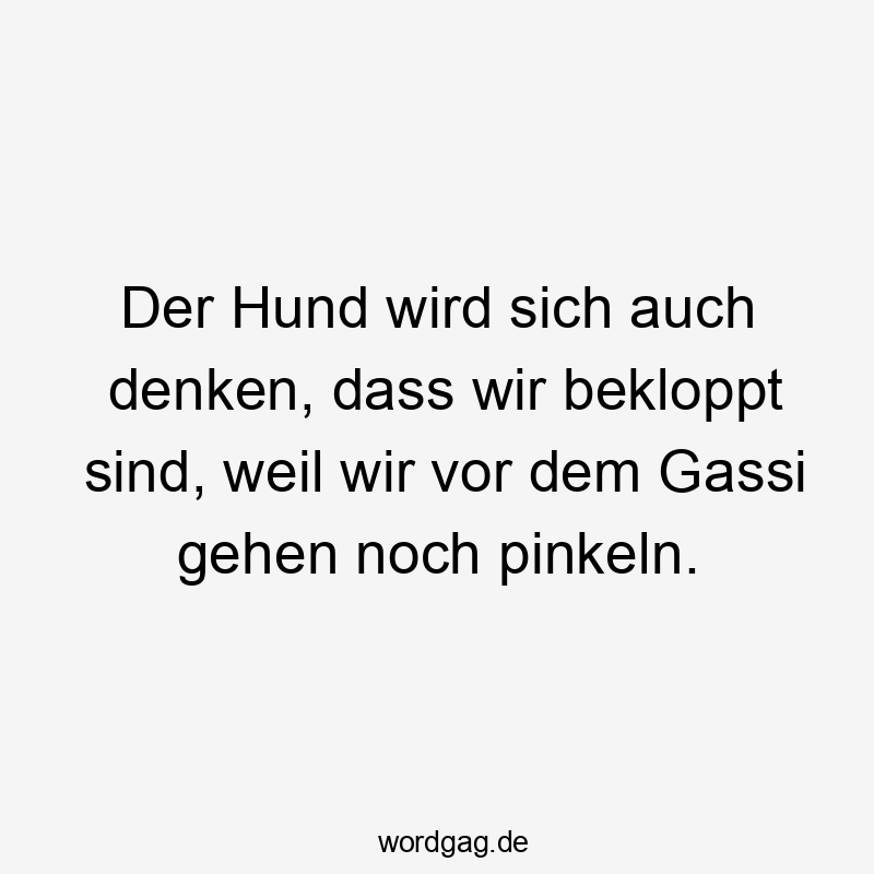 Lustige Gassi gehen Sprüche - Der Hund wird sich auch denken, dass wir bekloppt sind, weil wir vor dem Gassi gehen noch pinkeln.
