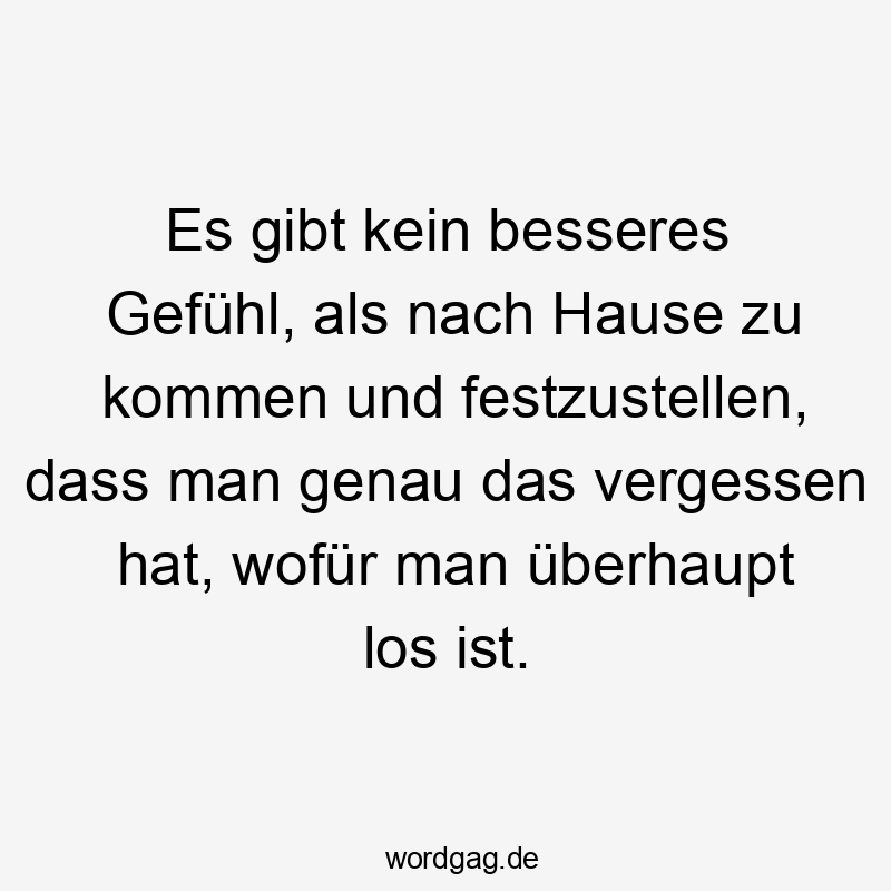 Lustige festzustellen Sprüche - Es gibt kein besseres Gefühl, als nach Hause zu kommen und festzustellen, dass man genau das vergessen hat, wofür man überhaupt los ist.