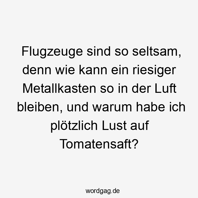 Flugzeuge sind so seltsam, denn wie kann ein riesiger Metallkasten so in der Luft bleiben, und warum habe ich plötzlich Lust auf Tomatensaft?