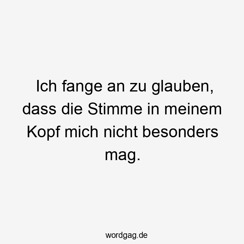 Ich fange an zu glauben, dass die Stimme in meinem Kopf mich nicht besonders mag.