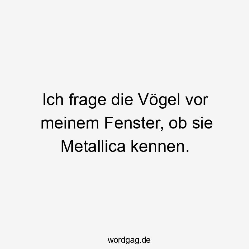 Ich frage die Vögel vor meinem Fenster, ob sie Metallica kennen.