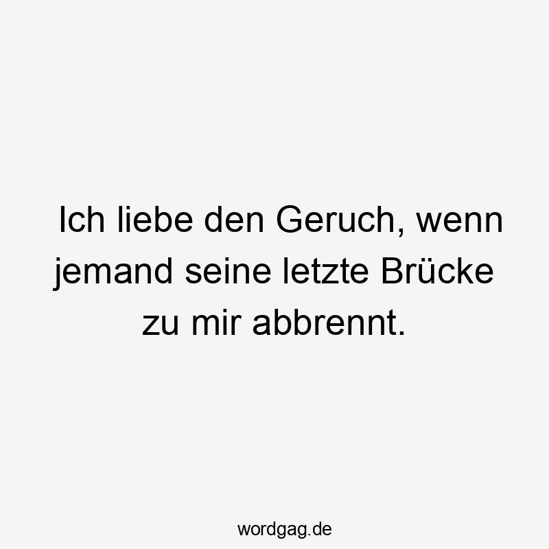 Lustige Sarkasmus Sprüche - Ich liebe den Geruch, wenn jemand seine letzte Brücke zu mir abbrennt.
