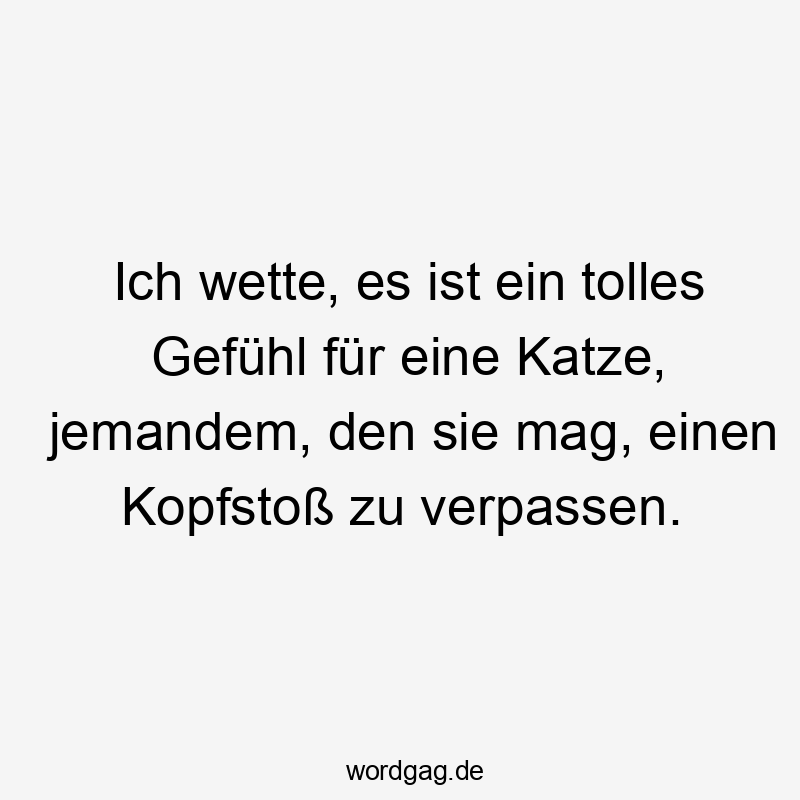 Ich wette, es ist ein tolles Gefühl für eine Katze, jemandem, den sie mag, einen Kopfstoß zu verpassen.