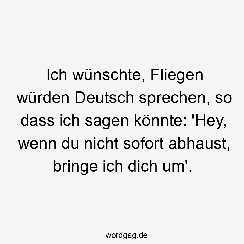 Ich wünschte, Fliegen würden Deutsch sprechen, so dass ich sagen könnte: ‚Hey, wenn du nicht sofort abhaust, bringe ich dich um‘.