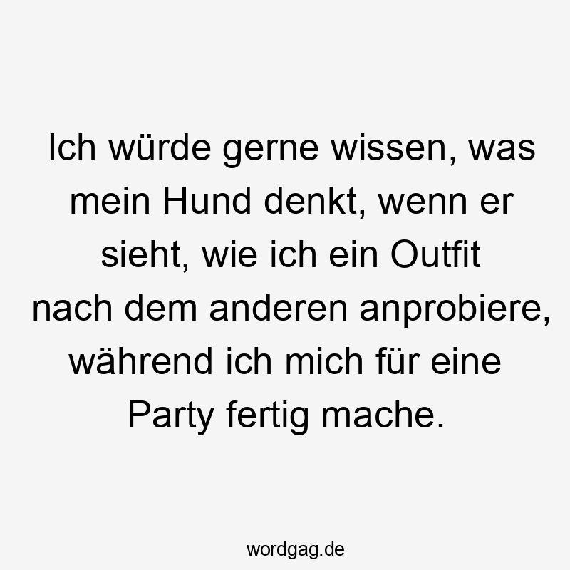 Lustige Sprüche: während - Ich würde gerne wissen, was mein Hund denkt, wenn er sieht, wie ich ein Outfit nach dem anderen anprobiere, während ich mich für eine Party fertig mache.