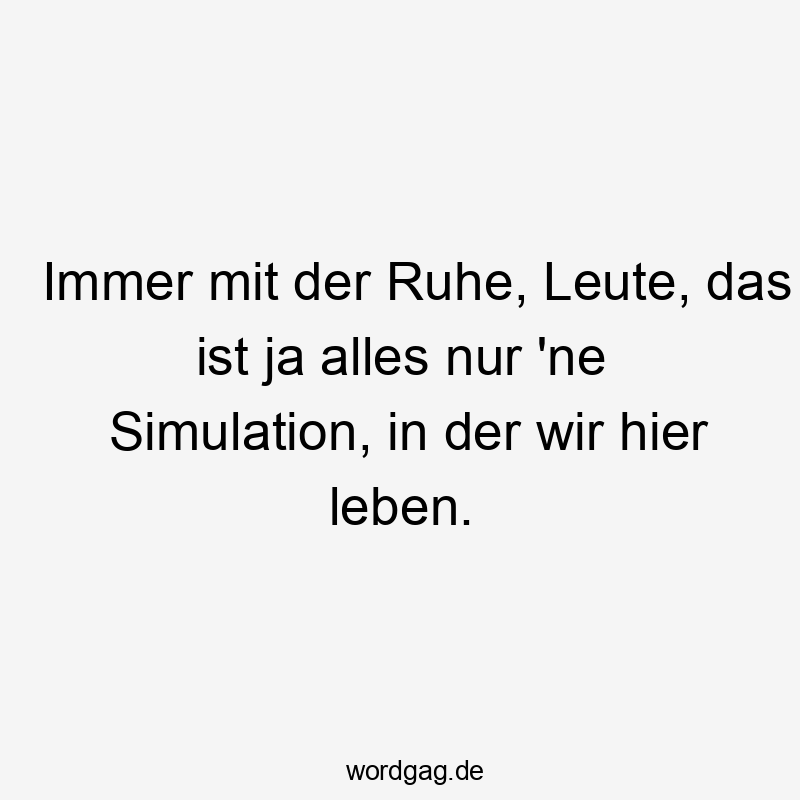 Lustige Sprüche: Ja - Immer mit der Ruhe, Leute, das ist ja alles nur ’ne Simulation, in der wir hier leben.