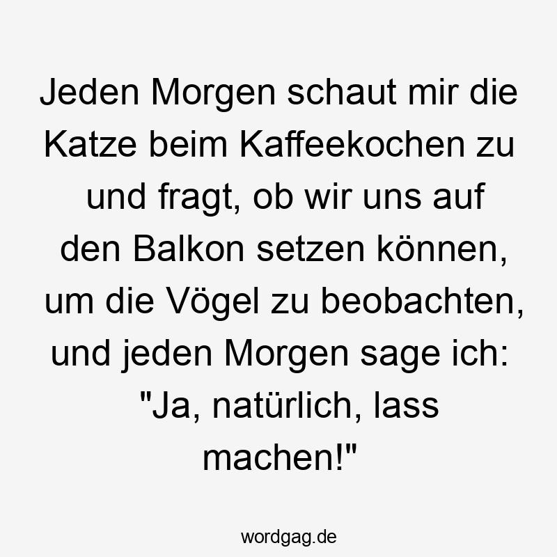 Lustige Sprüche: Ja - Jeden Morgen schaut mir die Katze beim Kaffeekochen zu und fragt, ob wir uns auf den Balkon setzen können, um die Vögel zu beobachten, und jeden Morgen sage ich: „Ja, natürlich, lass machen!“