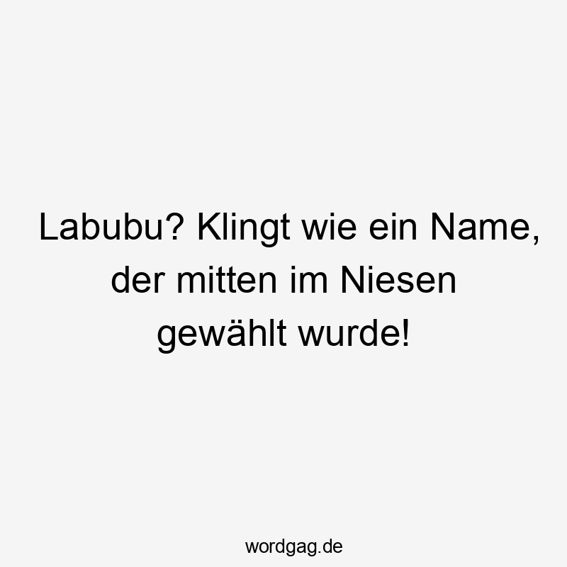 Labubu? Klingt wie ein Name, der mitten im Niesen gewählt wurde!