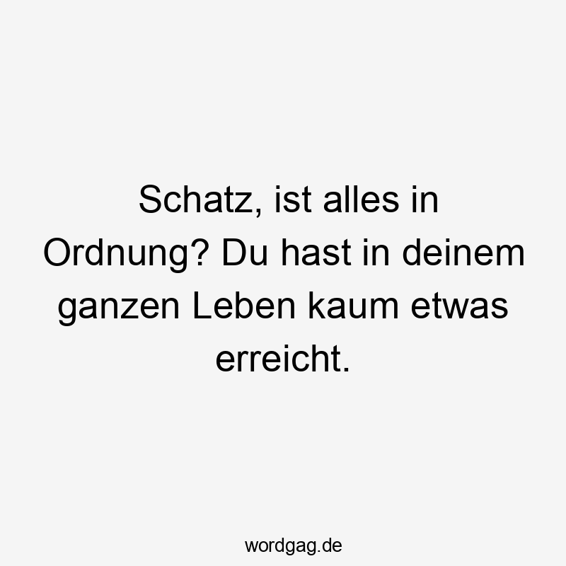 Schatz, ist alles in Ordnung? Du hast in deinem ganzen Leben kaum etwas erreicht.