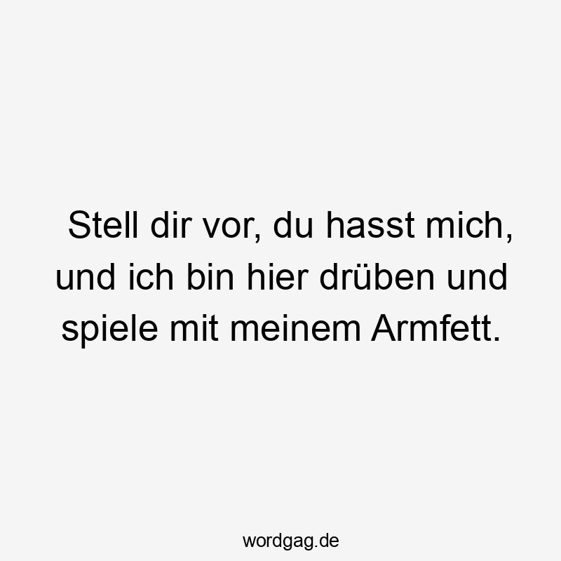 Stell dir vor, du hasst mich, und ich bin hier drüben und spiele mit meinem Armfett.