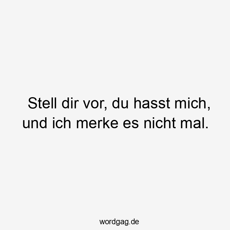 Stell dir vor, du hasst mich, und ich merke es nicht mal.