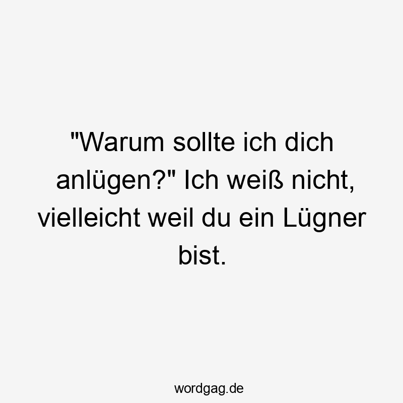 Streit - „Warum sollte ich dich anlügen?“ Ich weiß nicht, vielleicht weil du ein Lügner bist.