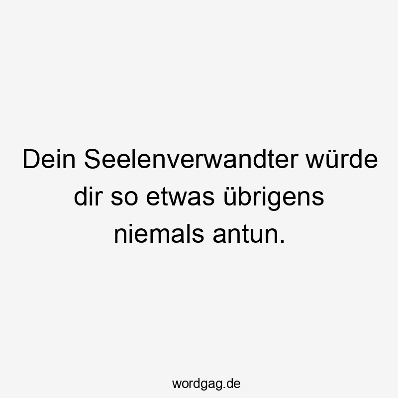 12 Lustige Seelenverwandter Sprüche - Dein Seelenverwandter würde dir so etwas übrigens niemals antun.