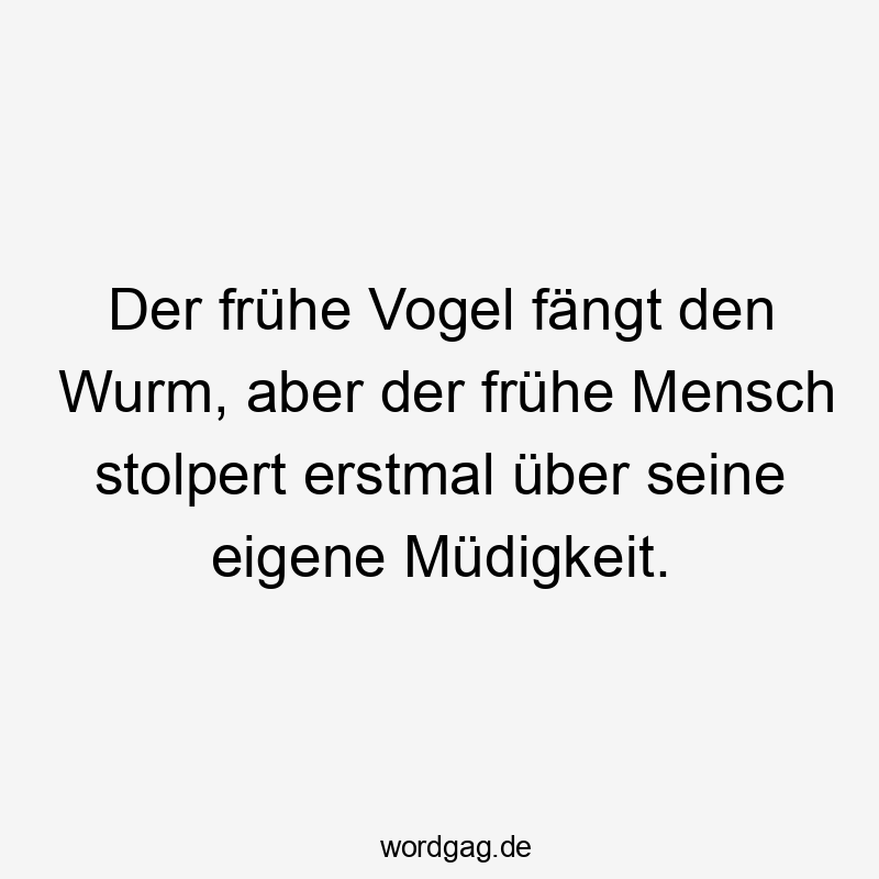 Der frühe Vogel fängt den Wurm, aber der frühe Mensch stolpert erstmal über seine eigene Müdigkeit.
