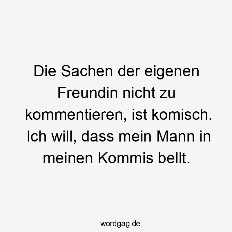Lustige Sprüche: Freundin - Die Sachen der eigenen Freundin nicht zu kommentieren, ist komisch. Ich will, dass mein Mann in meinen Kommis bellt.