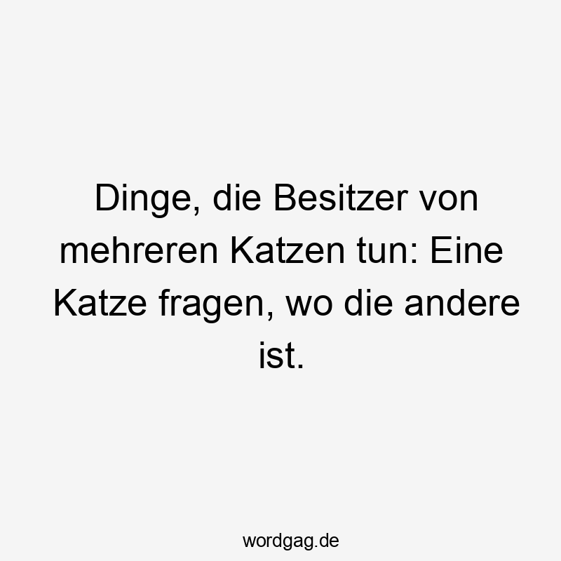 Lustige Sprüche: Fragen - Dinge, die Besitzer von mehreren Katzen tun: Eine Katze fragen, wo die andere ist.