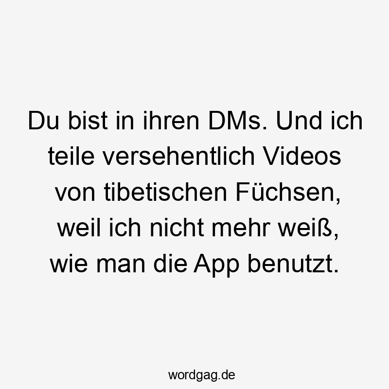Lustige Sprüche: mehr - Du bist in ihren DMs. Und ich teile versehentlich Videos von tibetischen Füchsen, weil ich nicht mehr weiß, wie man die App benutzt.