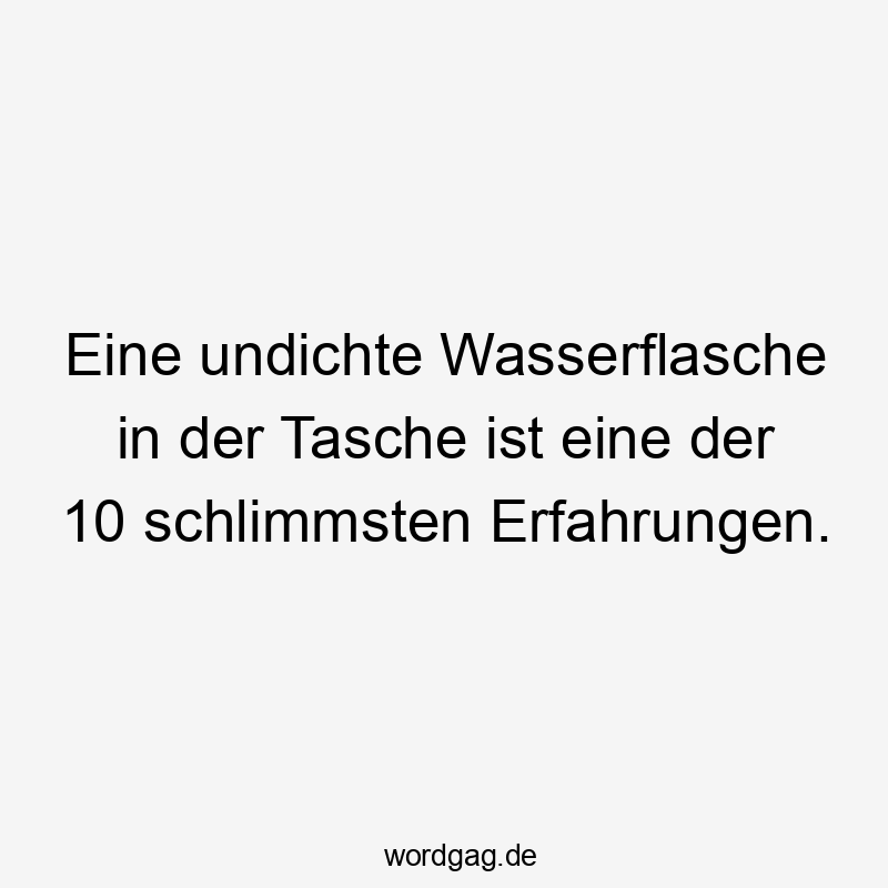 Eine undichte Wasserflasche in der Tasche ist eine der 10 schlimmsten Erfahrungen.