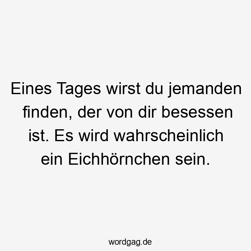 Lustige Sprüche: finden - Eines Tages wirst du jemanden finden, der von dir besessen ist. Es wird wahrscheinlich ein Eichhörnchen sein.