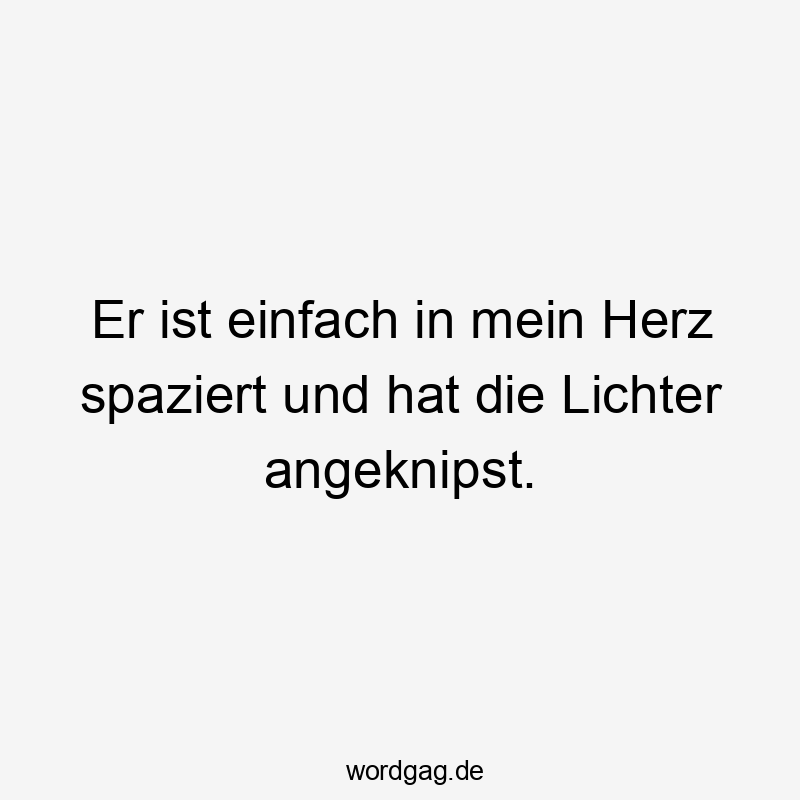 Lustige Lichter Sprüche - Er ist einfach in mein Herz spaziert und hat die Lichter angeknipst.